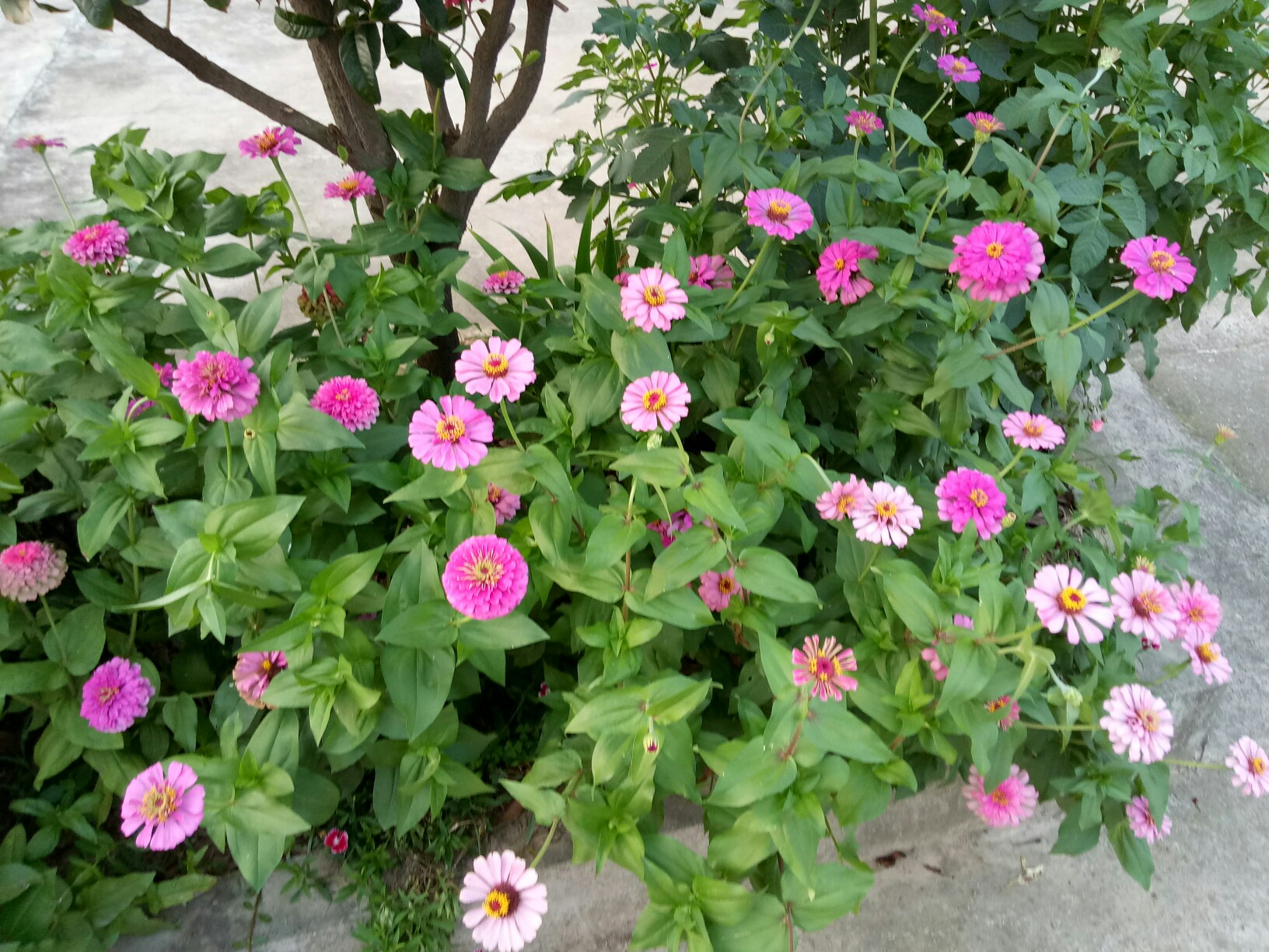 关于2?厝%?Z.?rQl	3?哉豉耋^P囁€%鉸	uU颩亘6的信息-爱游戏娱乐